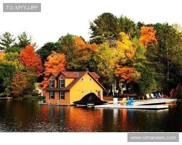 深入解析加拿大企业家移民项目申请条件与成功要点全方位详尽指南